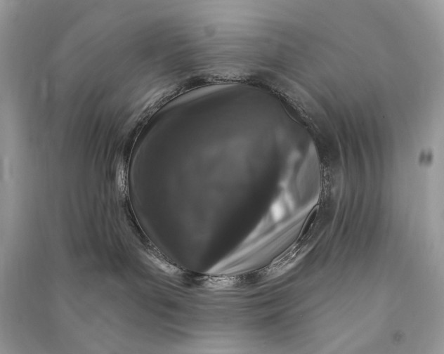 X0000090730143200708101648