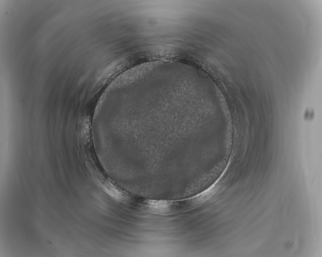 X0000090730144200708101648