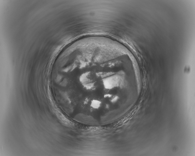 X0000090730145200708101647