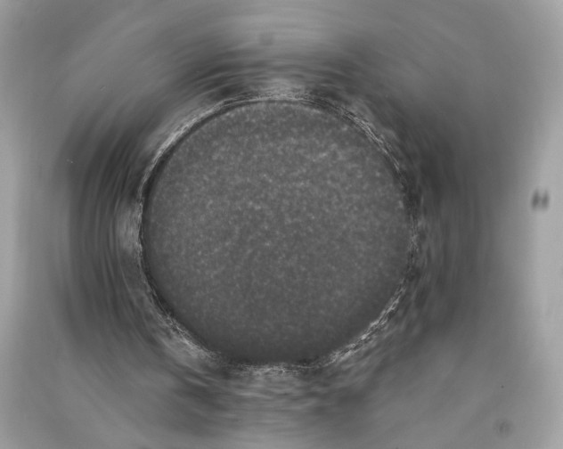 X0000090730146200708101647