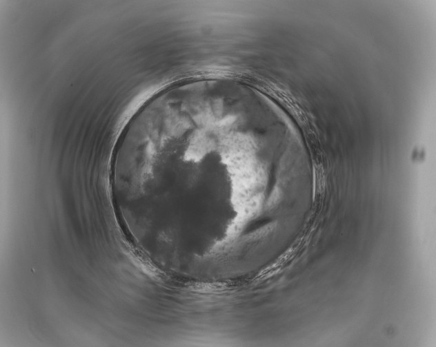 X0000090730147200708101647