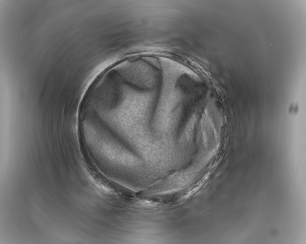 X0000090730148200708101647