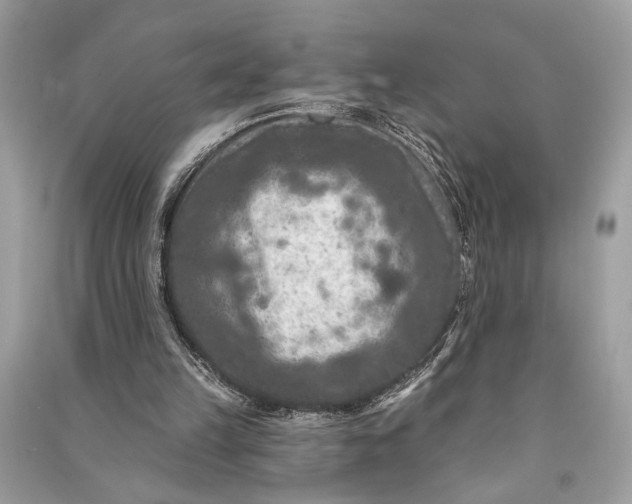 X0000090730149200708101647