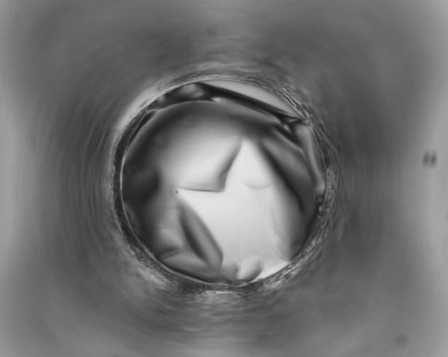 X0000090730150200708101647