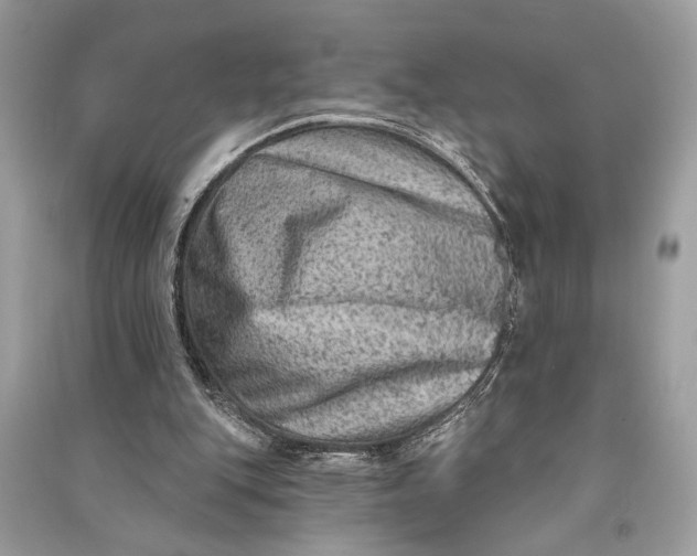 X0000090730151200708101647