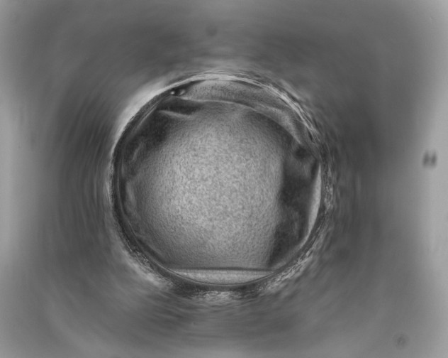 X0000090730152200708101647