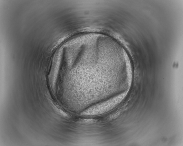 X0000090730153200708101647