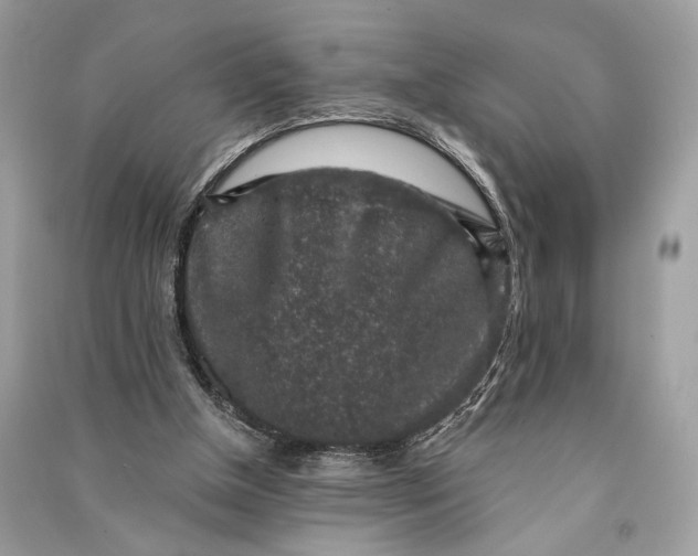 X0000090730154200708101647