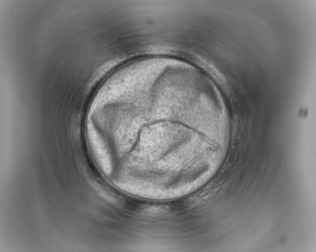 X0000090730155200708101647