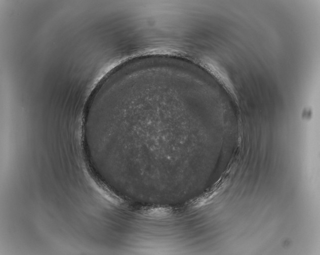 X0000090730156200708101647