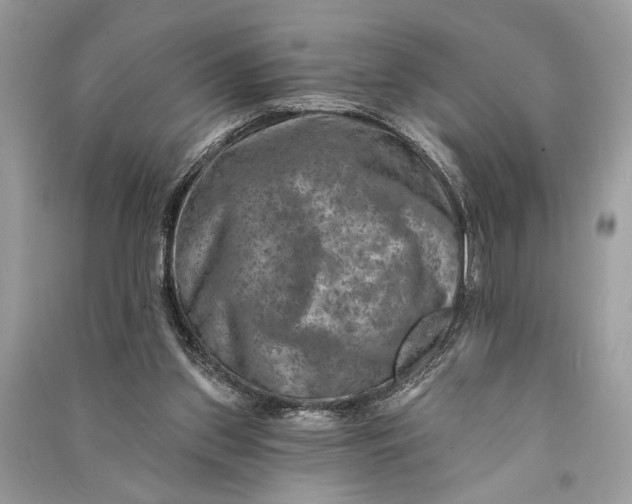 X0000090730157200708101648