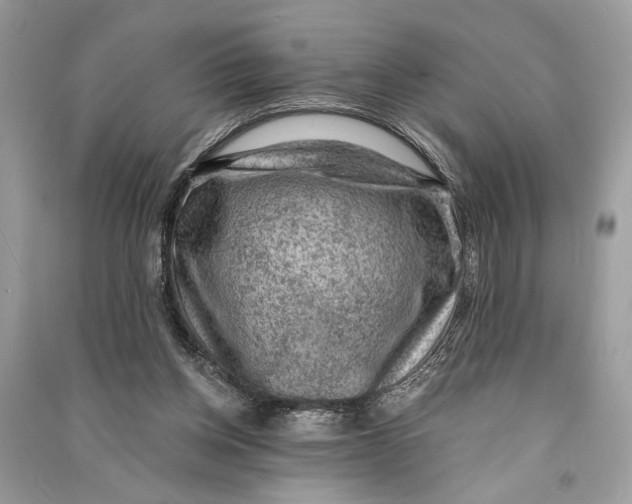 X0000090730158200708101648