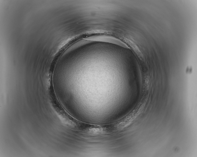 X0000090730160200708101648