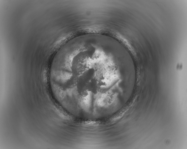 X0000090730161200708101648