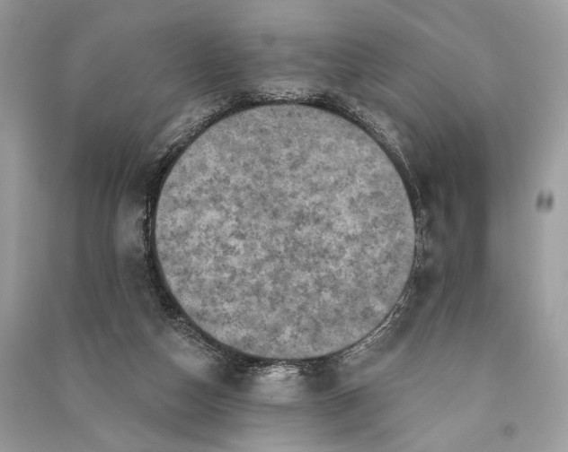 X0000090730162200708101648