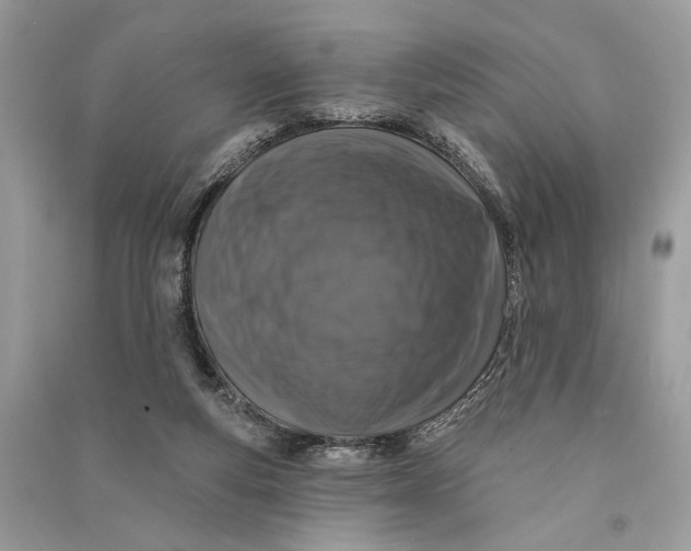 X0000090730163200708101648