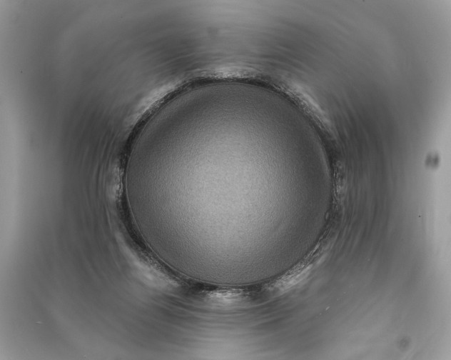 X0000090730164200708101648