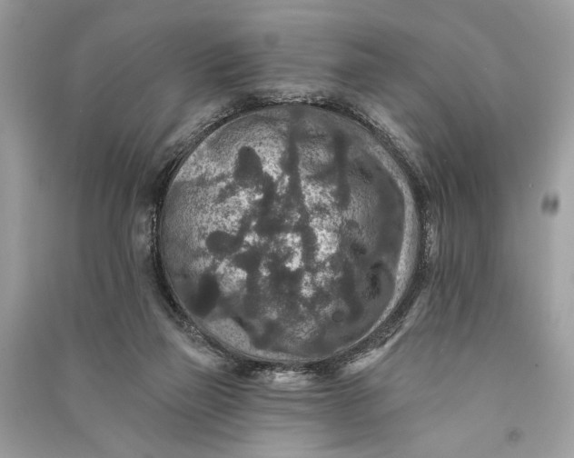 X0000090730165200708101648