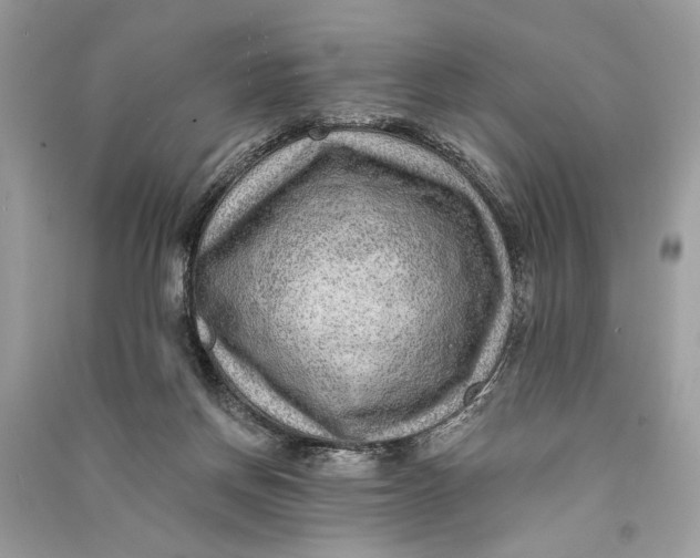 X0000090730166200708101648