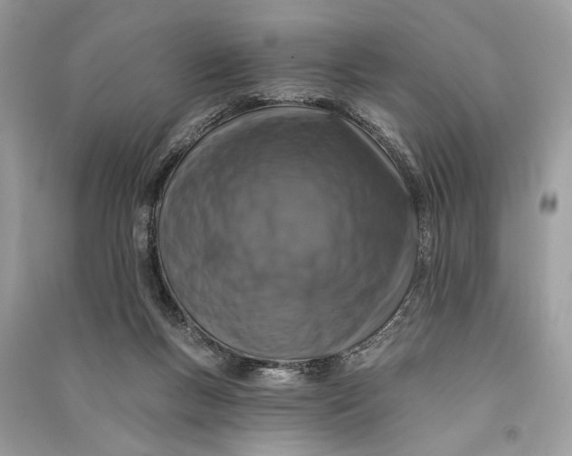 X0000090730167200708101648