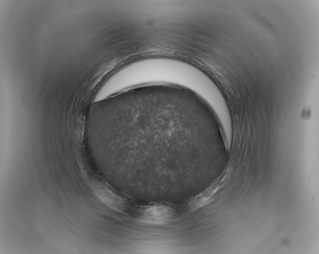 X0000090730168200708101648