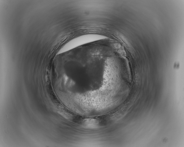 X0000090730169200708101648