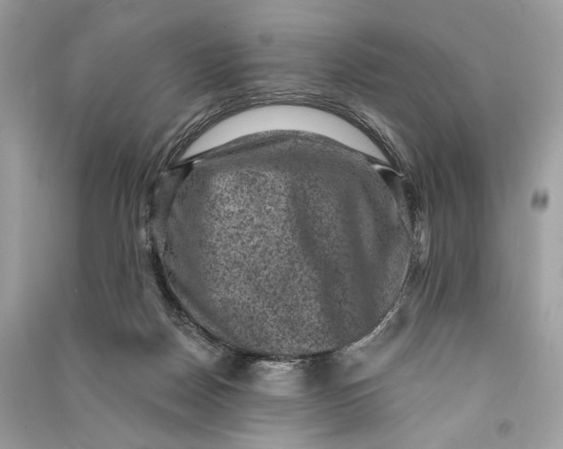 X0000090730170200708101648