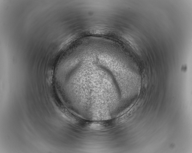 X0000090730171200708101648