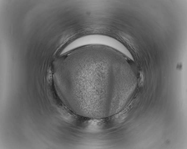 X0000090730172200708101648