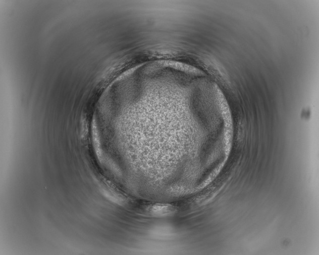 X0000090730173200708101648