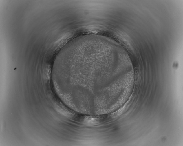 X0000090730174200708101648