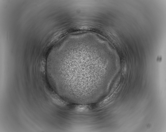 X0000090730175200708101648