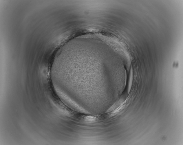 X0000090730176200708101648