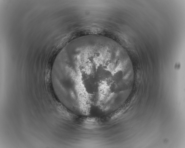 X0000090730177200708101648