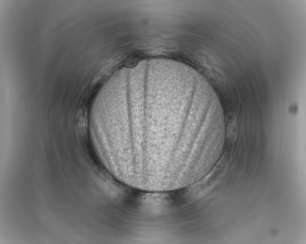 X0000090730179200708101648