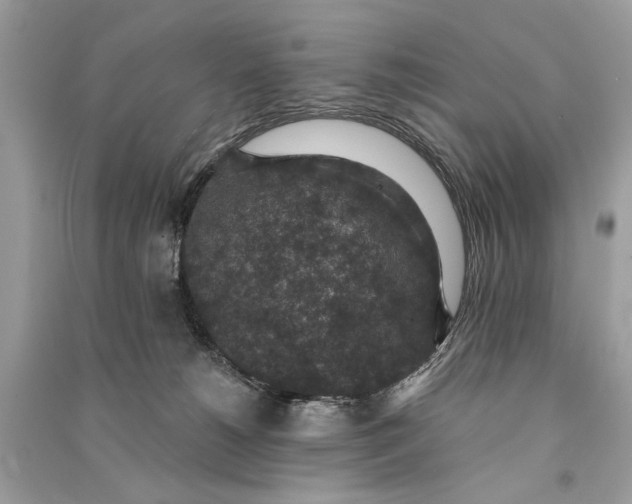 X0000090730180200708101648