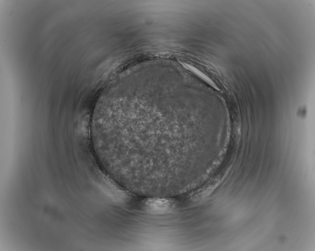 X0000090730181200708101648