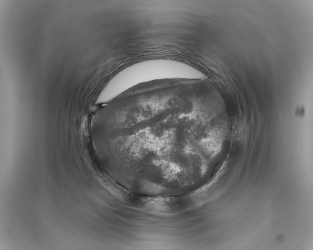 X0000090730182200708101648