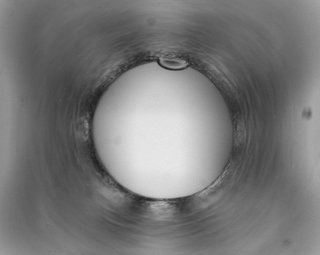 X0000090730183200708101648