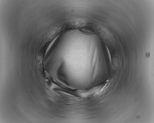 X0000090730184200708101648