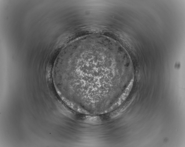 X0000090730185200708101648