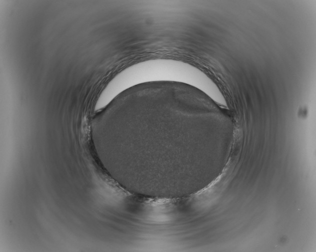 X0000090730186200708101648