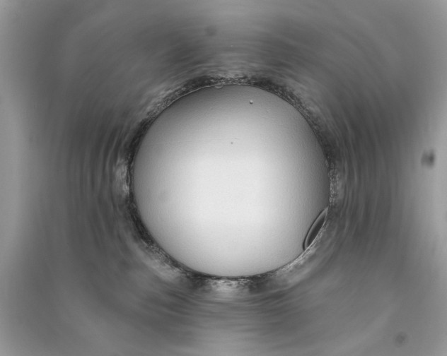 X0000090730187200708101648