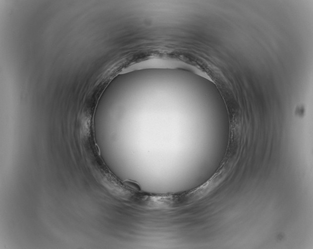 X0000090730188200708101648