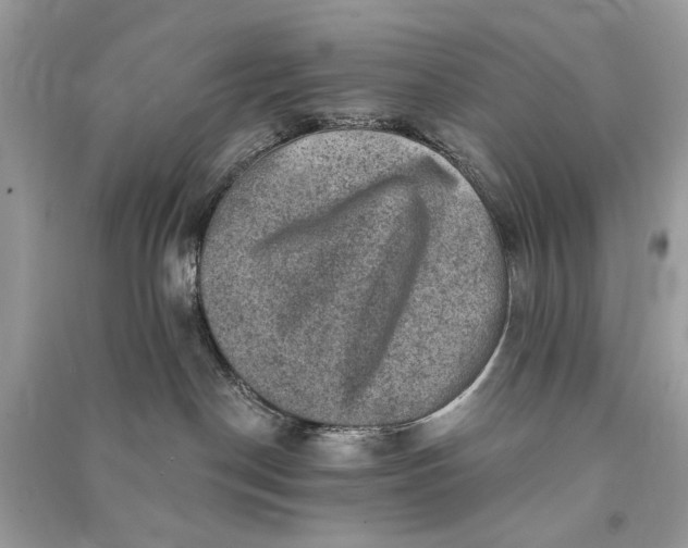 X0000090730190200708101648