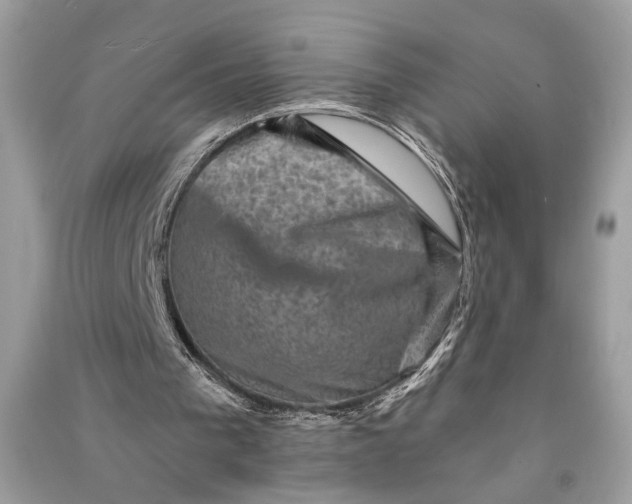 X0000090730193200708101647