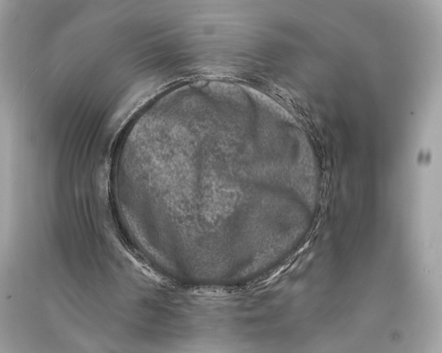 X0000090730194200708101647