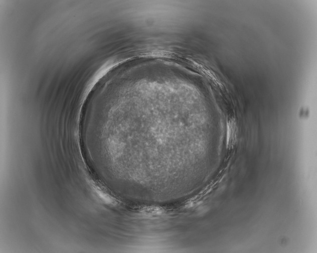 X0000090730195200708101647