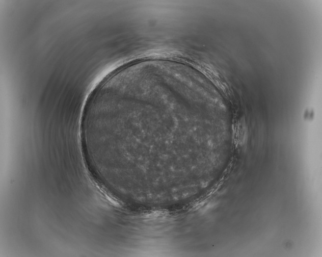 X0000090730196200708101647