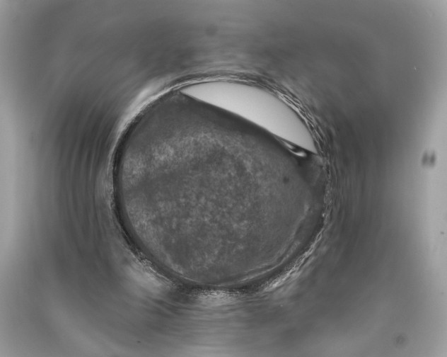 X0000090730198200708101647